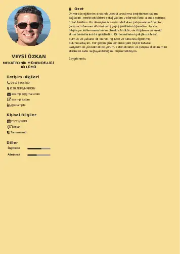 Mekatronik Mühendisliği Cv Örnekleri cv indir